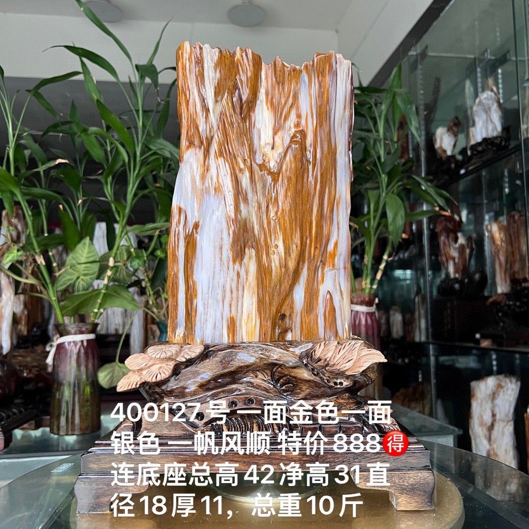 树化玉硅化木摆件冰种木化石400127客厅木化玉缅甸树化石客厅奇石