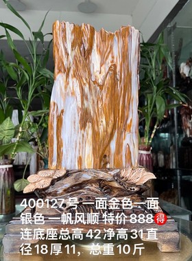 树化玉硅化木摆件冰种木化石400127客厅木化玉缅甸树化石客厅奇石