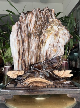 树化玉硅化木摆件冰种木化石400128客厅木化玉缅甸树化石客厅奇石