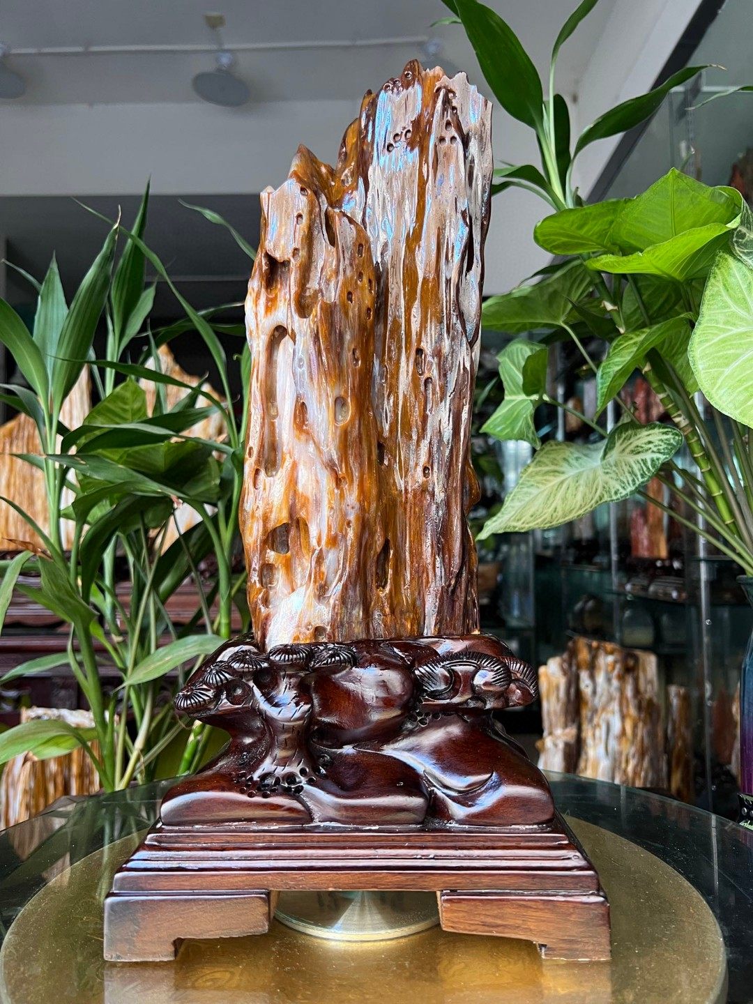 树化玉硅化木摆件冰种木化石128843客厅木化玉缅甸树化石客厅奇石,家居饰品,装饰摆件,淘宝优惠券,粉丝福利购,淘宝优惠卷