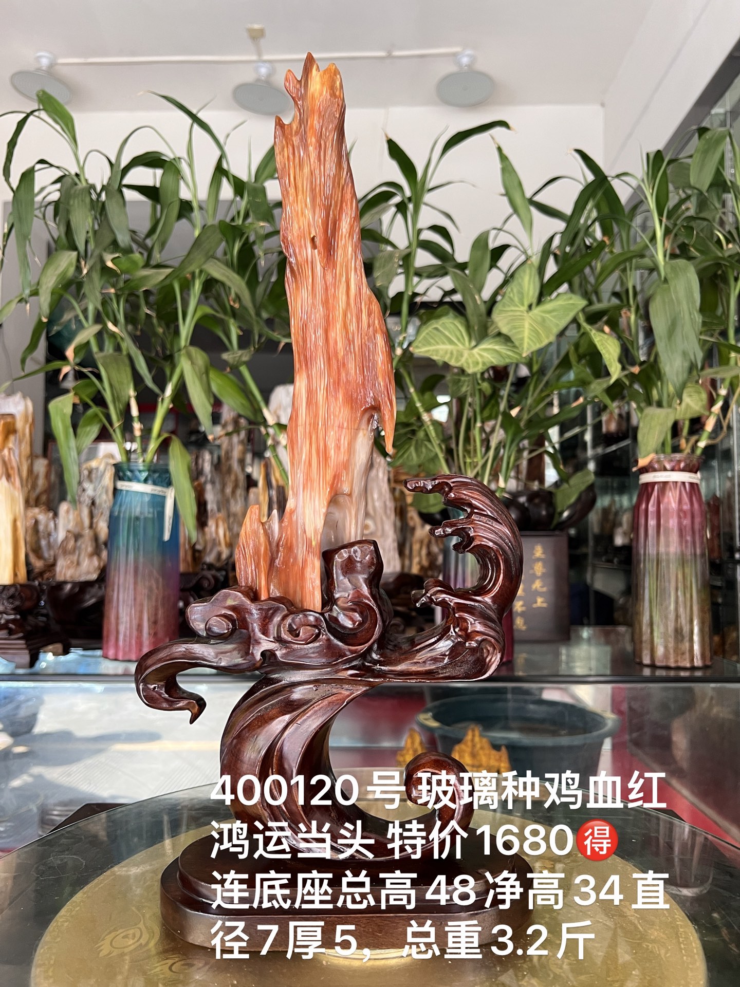 树化玉硅化木摆件冰种木化石400120客厅木化玉缅甸树化石客厅奇石