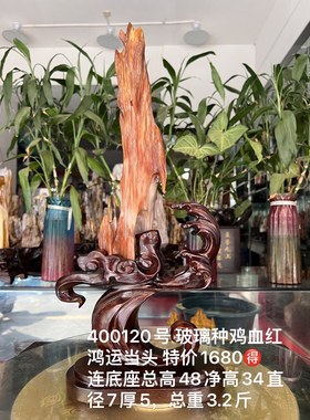 树化玉硅化木摆件冰种木化石400120客厅木化玉缅甸树化石客厅奇石