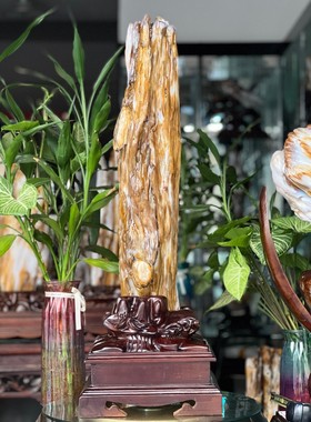 树化玉硅化木摆件冰种木化石128834客厅木化玉缅甸树化石客厅奇石