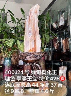 树化玉硅化木摆件冰种木化石400124客厅木化玉缅甸树化石客厅奇石