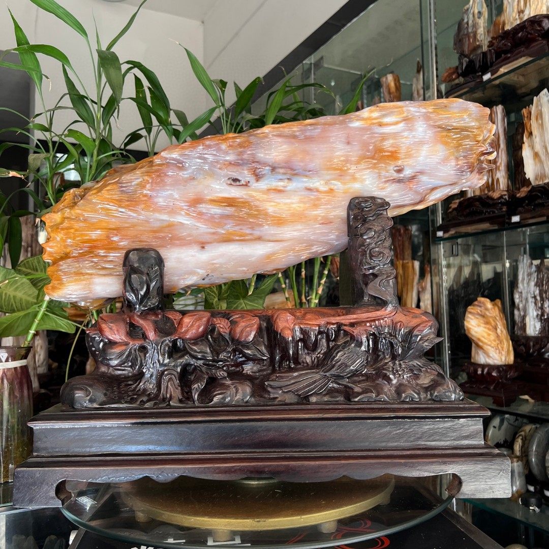 树化玉硅化木摆件冰种木化石400130客厅木化玉缅甸树化石客厅奇石