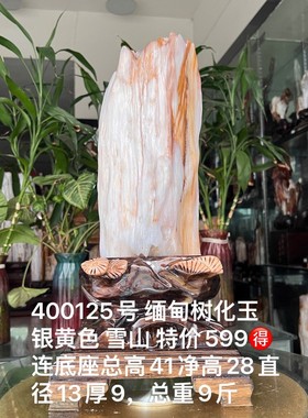 树化玉硅化木摆件冰种木化石400125客厅木化玉缅甸树化石客厅奇石