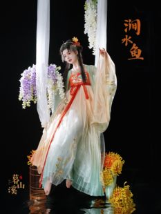 现货暮山溪【涧水鱼】唐制齐胸吊带裙大袖衫改良汉服汉元素