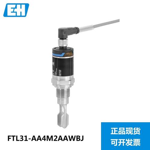 E+H音叉液位开关FTL31-AA4M2AAWBJ 液位计FTL20-0025液位计FT询价