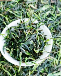 【抽湿茶绿衣仙子】潮州凤凰单丛特级高山乌岽单枞清香型茶叶500G