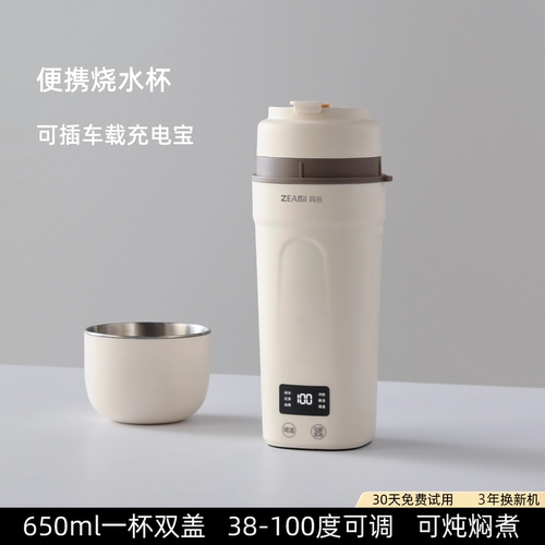 真米便携烧水杯USB车载双插口