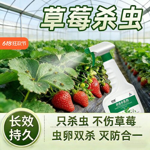 空消草莓苗蚜红蜘蛛杀虫剂