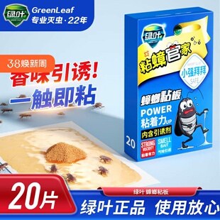绿叶蟑螂贴纸强力粘蟑螂粘板家用物理粘蟑螂纸灭蟑螂药粘贴板引诱