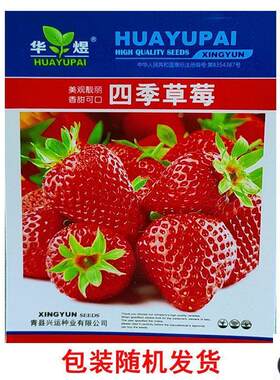 草莓种籽子超大超甜奶油草莓种子四季播种庭院阳台盆栽水果种子