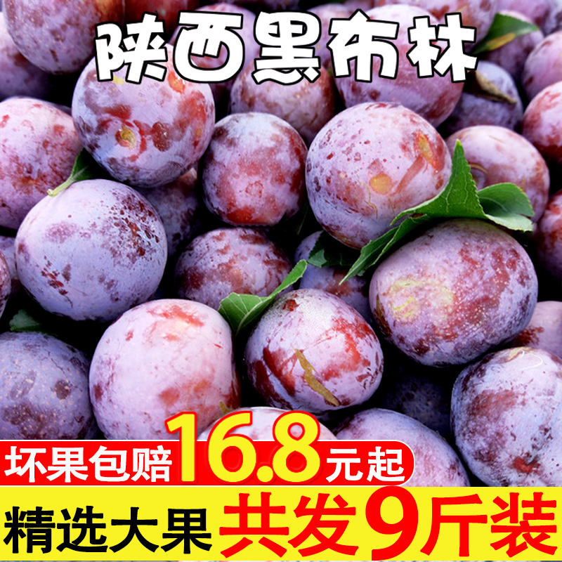 陕西黑布林5斤 李子孕妇水果新鲜包邮当季整箱10黑宝石巨李黑布李