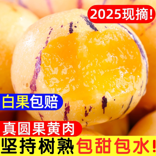 白果赔！云南人参果水果黄肉大果