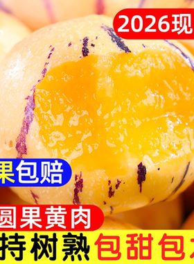 云南人参果水果圆果黄肉大果新鲜石林人叁果树上熟人生果整箱包邮