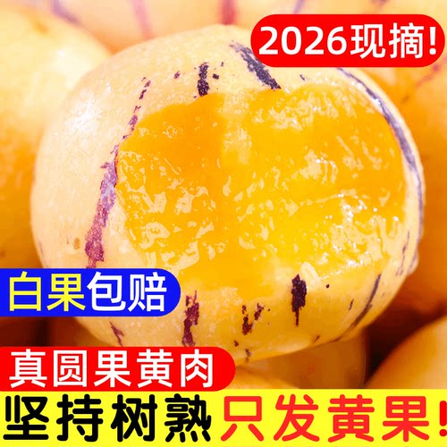 白果赔！云南人参果水果黄肉大果