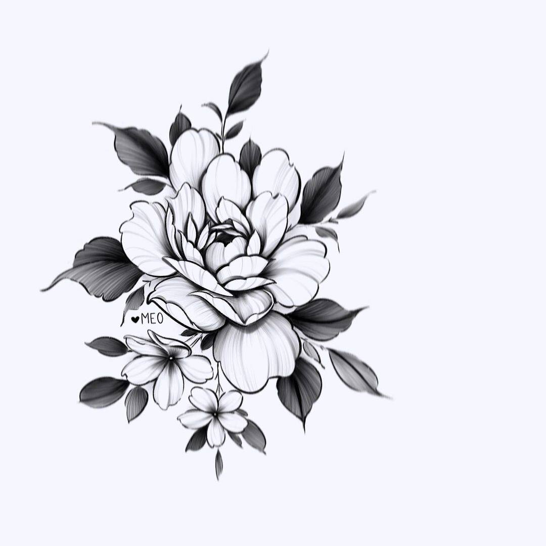 b484黑白花卉花朵板绘钢笔画手绘线描线稿素描速写手绘临摹素材