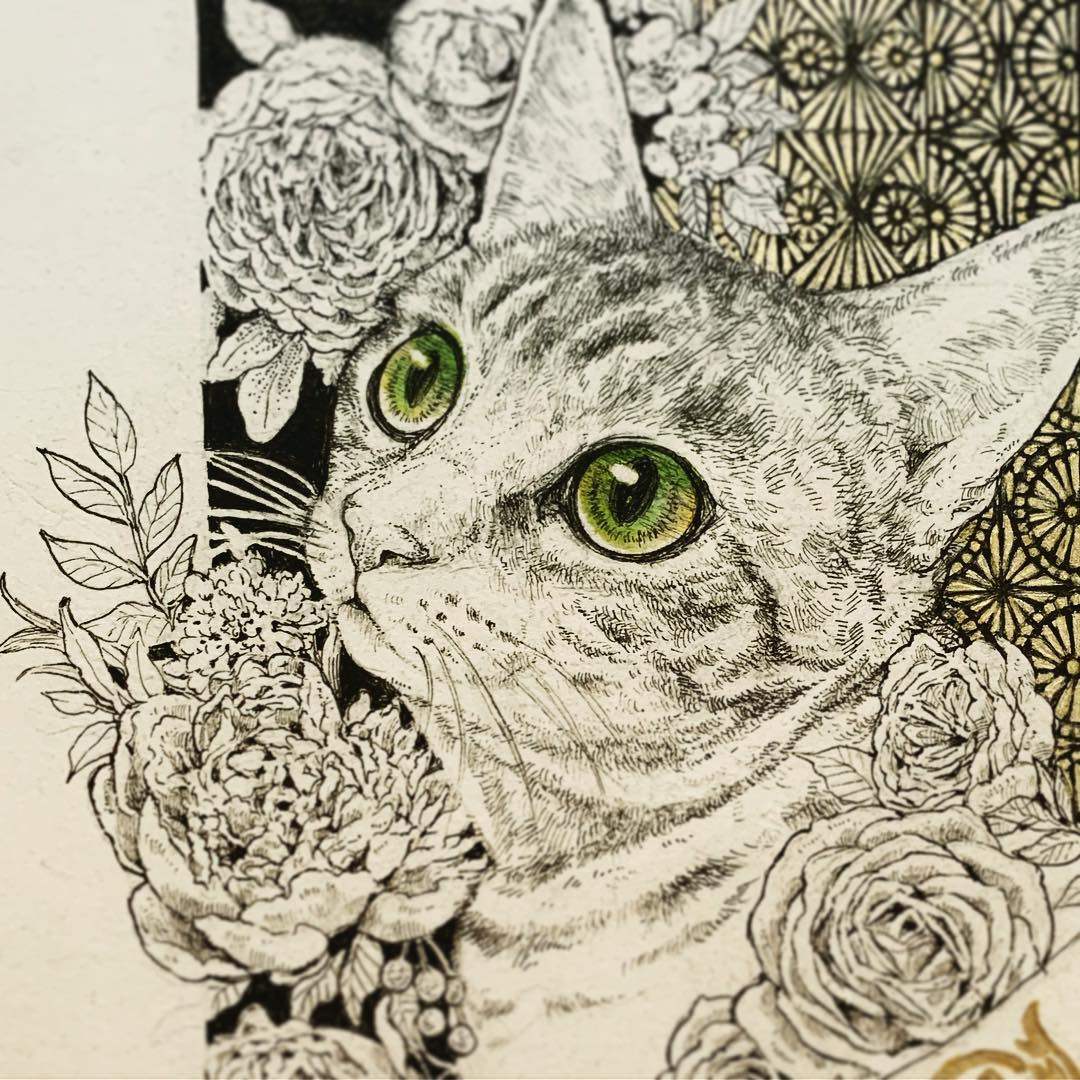 b480猫咪钢笔画针管笔黑白线条画线描喵星人插画素描速写图片素材