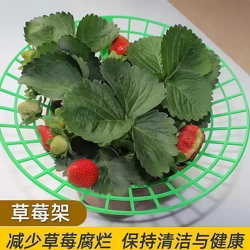 草莓架水果托盘支架防落地盆栽