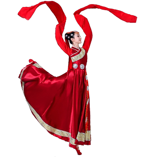 藏族舞蹈服装演出服女水袖心声少数民族服饰表演服西藏广场舞藏袍