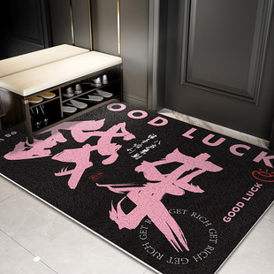 高级感入户地垫门口除尘耐脏免洗脚踏垫丝圈进门蹭土防滑垫可裁剪