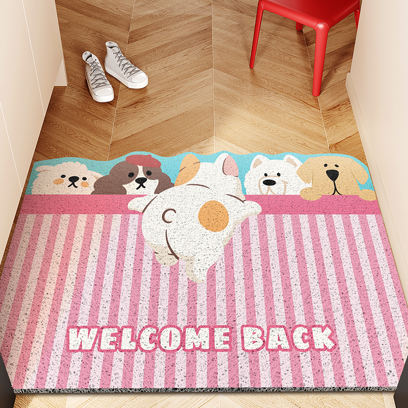 可爱丝圈耐脏入户门地垫