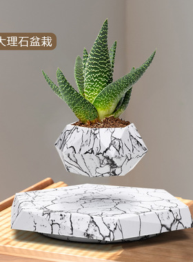 网红智能产品内磁悬浮发明专利创意时尚摆件磁悬浮盆栽