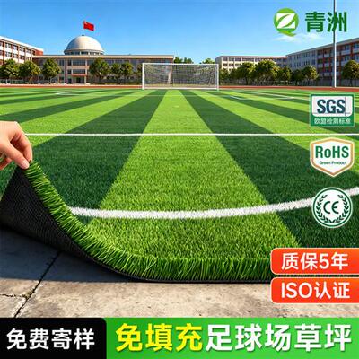 grass足球场人造草坪草皮免填充足球草人工假草室内球场户外