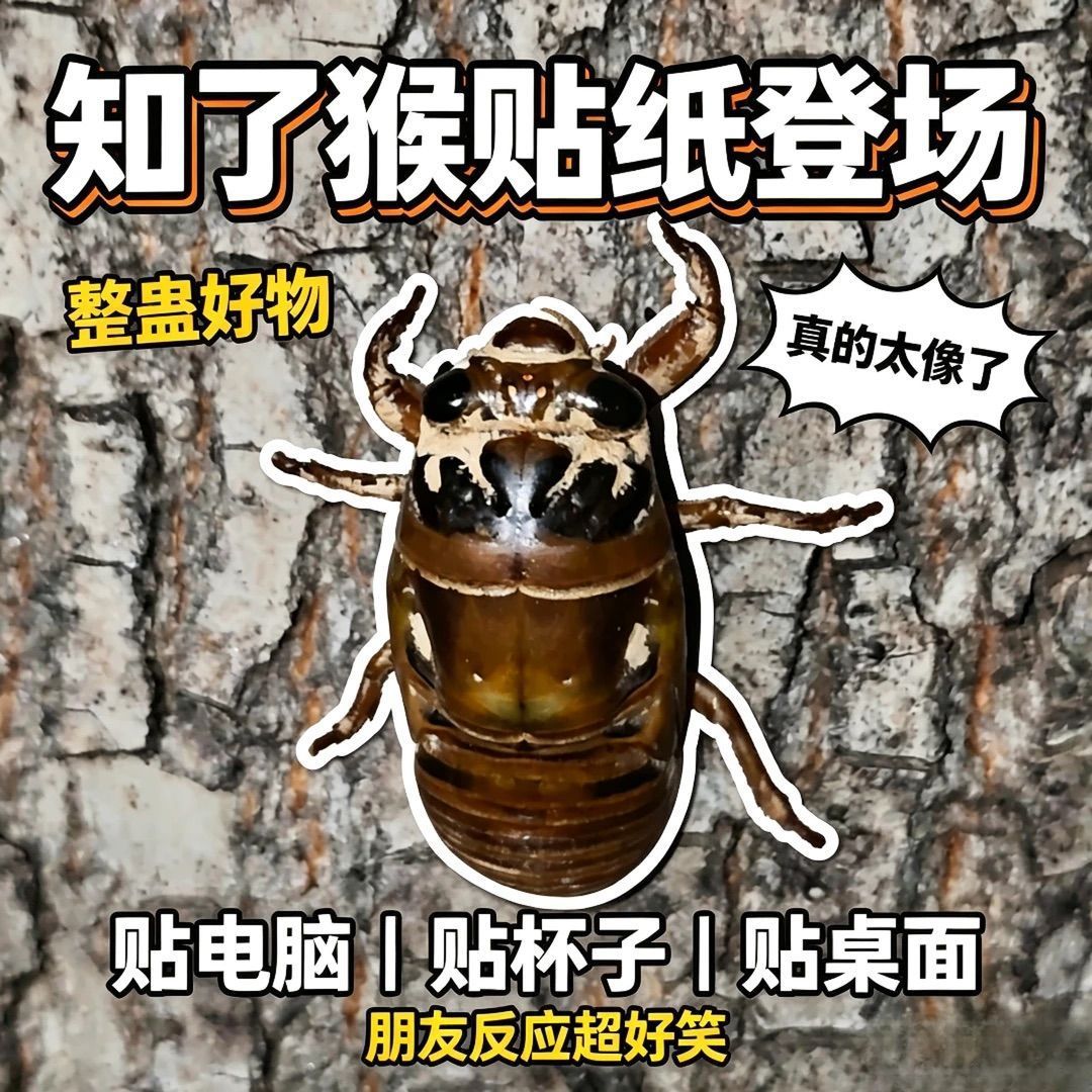 知了猴贴纸整蛊儿童趣味亲子户外