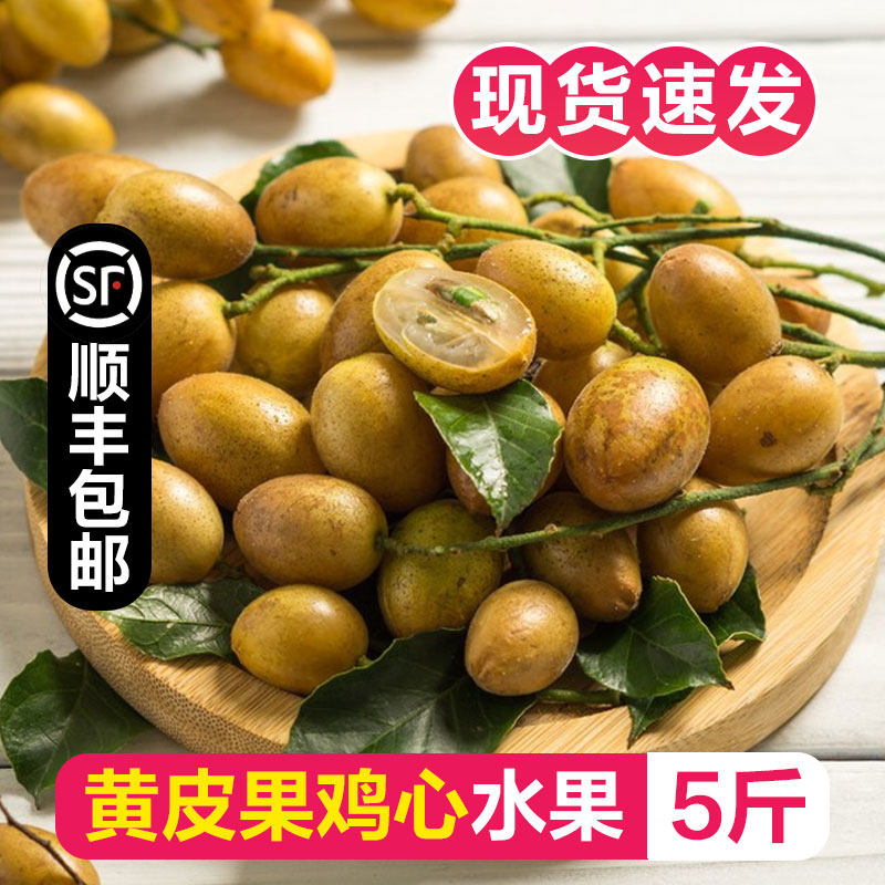 【顺丰现货】广西黄皮果鸡心黄皮当季时令水果酸甜奶茶原料非贵妃
