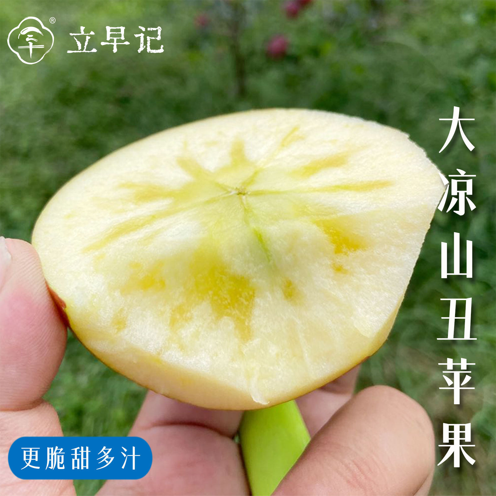 四川大凉山丑苹果盐源苹果冰糖心苹果脆甜多汁应季新鲜水果整箱,水产肉类/新鲜蔬果/熟食,苹果,淘宝优惠券,粉丝福利购,淘宝优惠卷