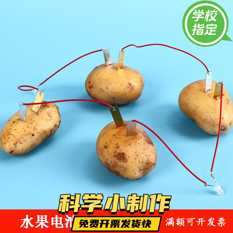 水果电池实验材料 可乐发电 锌片铜片电极组装材料 小学科学ax72