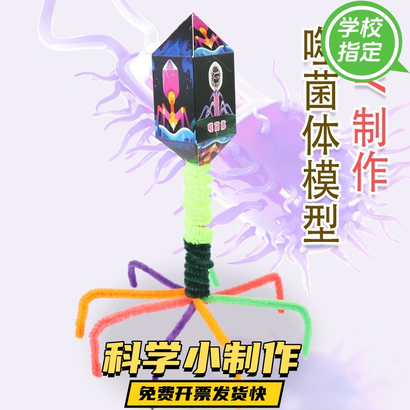 diy噬菌体模型生物科学实验小学生教具手工材料包科技小制作ax44
