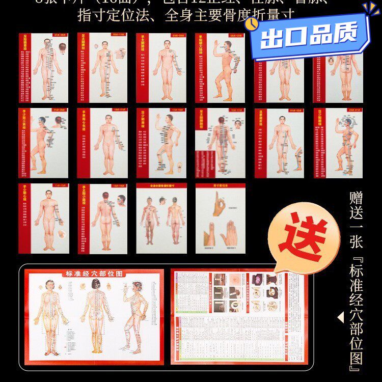 十二经络穴位图速记学习卡人体中医针灸模型教学走向挂12全身QE10