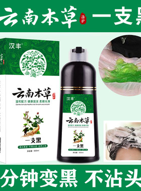 云南本草老人泡沫染发剂