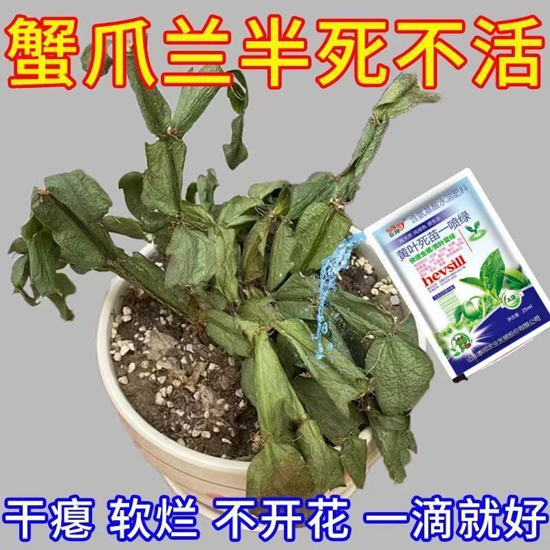 一喷就绿黄叶烂根死苗一喷绿蔬菜花卉果树植物通用绿叶微量元素农