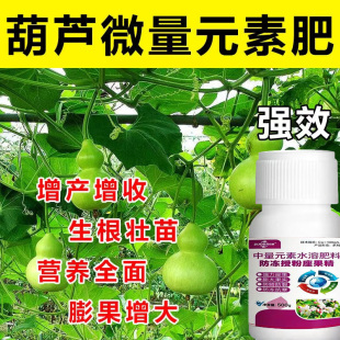 李子树催花授粉座果灵李子专用授粉药免沾花果保花保果叶面肥