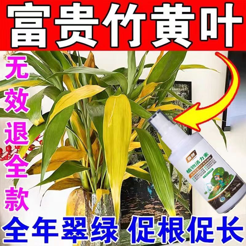 睡莲碗莲专用营养液水培种子植物发芽促开花防黄叶通用型水溶肥料