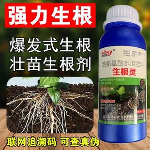 生根壮苗剂植物根系发育宝强力促毛细根生长增强养分吸收植株