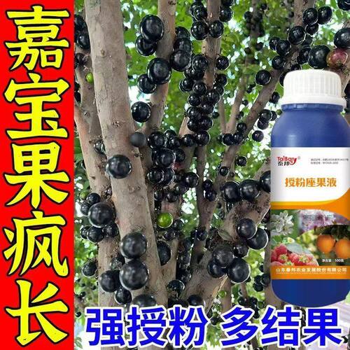 嘉宝果专用催花肥挂果催花坐果树葡萄果树珍宝果保花保果液体肥