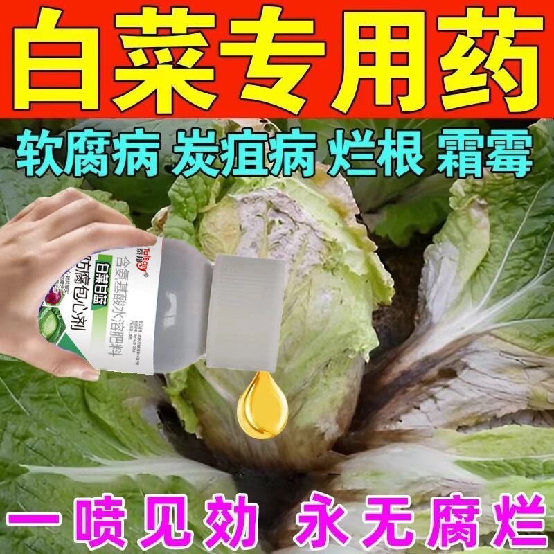 白菜专用药治包菜甘蓝软腐病烂心黄叶灰霉防腐包心剂肥料