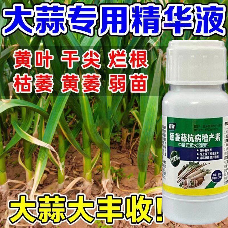 大蒜专用农药大蒜病全治大蒜锈病黄叶干尖叶枯病菌核病根腐软腐病