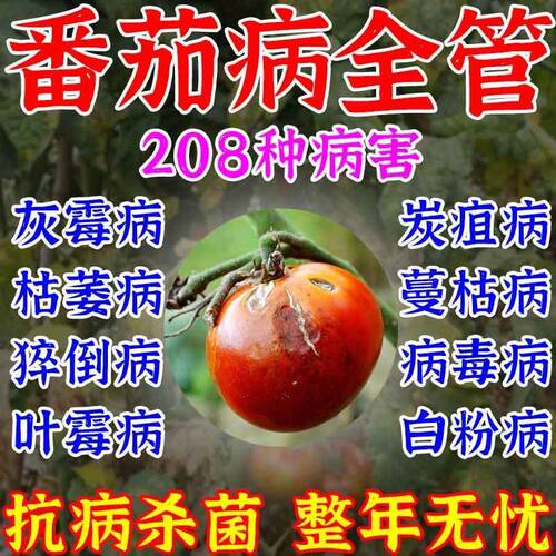 番茄病害专用药番茄病菌清灰霉炭疽专用番茄专用杀菌剂病全治全管