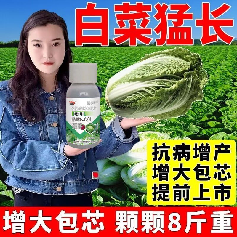 白菜病全管白菜专用霜霉病软腐病白斑病炭疽病根肿病防腐剂