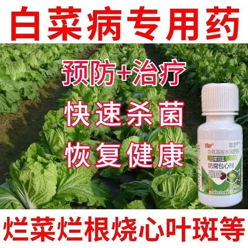 【急救白菜病】白菜病全治大白菜烂根黄叶腐烂软腐灰霉病专用杀菌