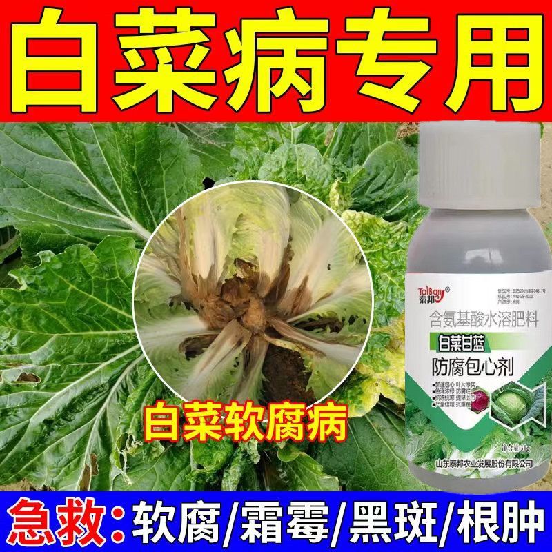 白菜增产包心剂叶厚绿抗寒防病提高品质甘蓝快速生长水溶肥