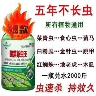 蔬菜杀虫王一喷全杀蚜虫蓟马小菜蛾地老虎蛴螬红蜘蛛