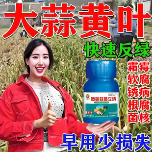 大蒜追肥宝大蒜补充营养块大均匀提高产量促进吸收