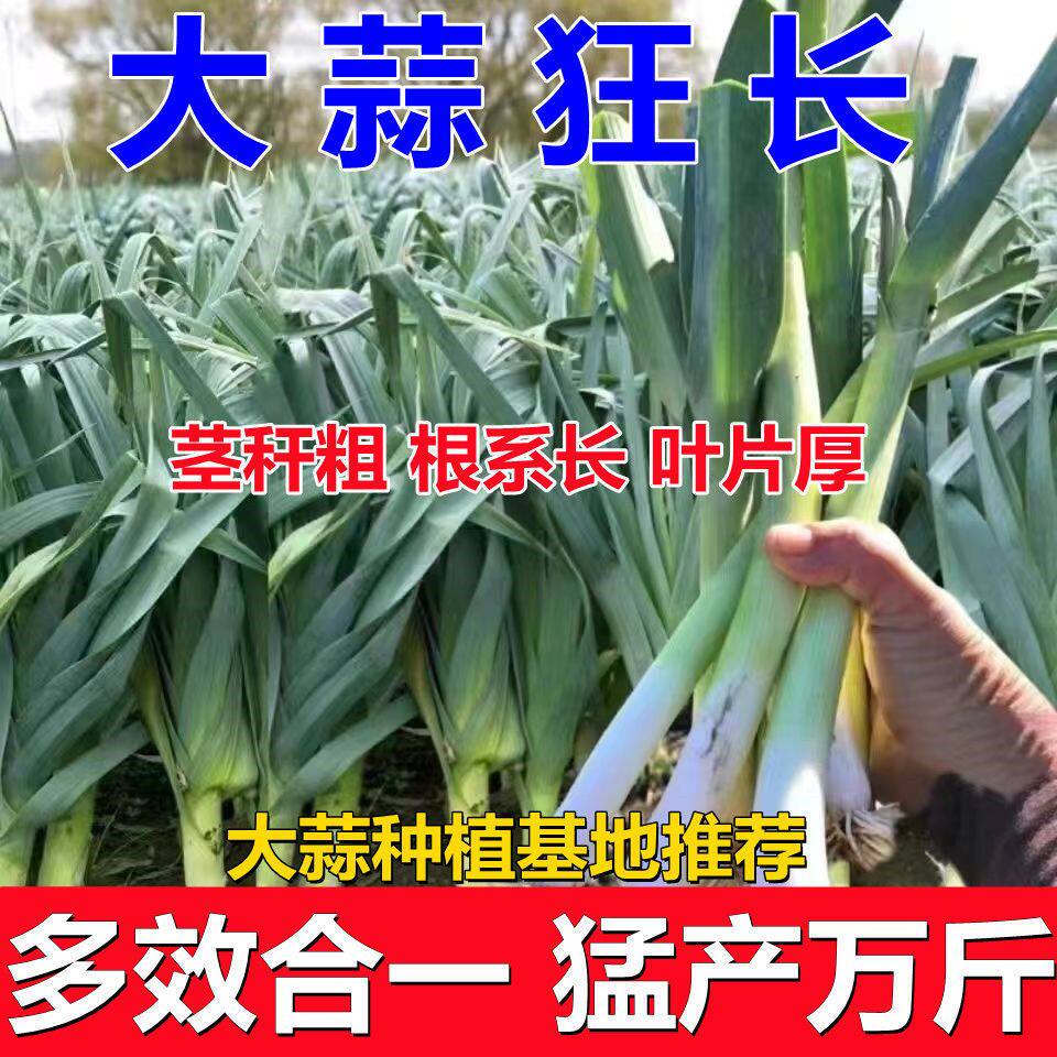 大蒜专用农药大蒜病全治大蒜锈病黄叶干尖叶枯病菌核病根腐软腐病